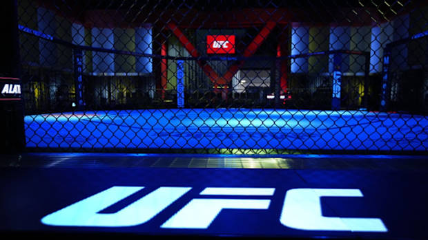 UFC Octagon